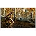 The Elder Scrolls V: Skyrim, Xbox 360, Xbox 360, RPG (Gioco di ruolo) , M (Mature)  - Foto miniatura 1